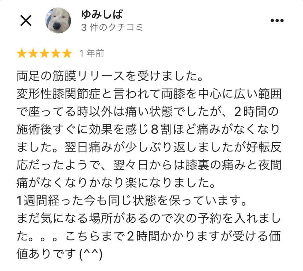 Googleマップ口コミ